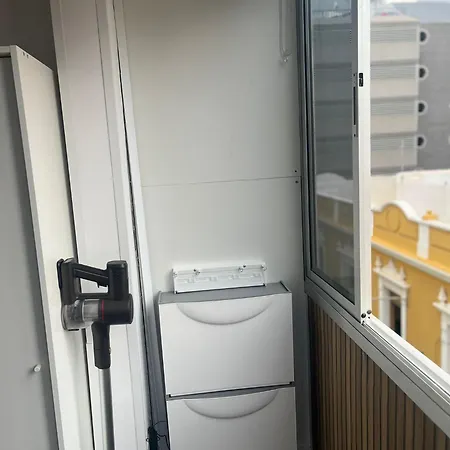 Mirlo Canteras * Las Palmas de Gran Canaria