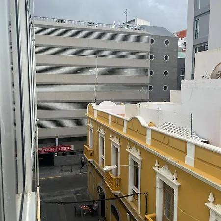 Mirlo Canteras *