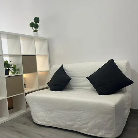 Mirlo Canteras